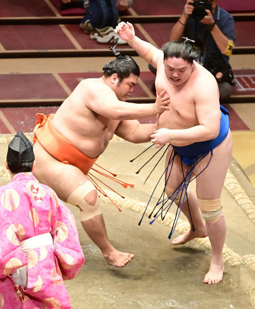 志摩ノ海（左）は一山本を寄り切りで破る（撮影・小沢裕）
