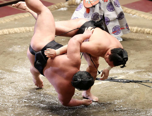 千代ノ皇（左）を掛け投げで破る照強（撮影・鈴木正人）