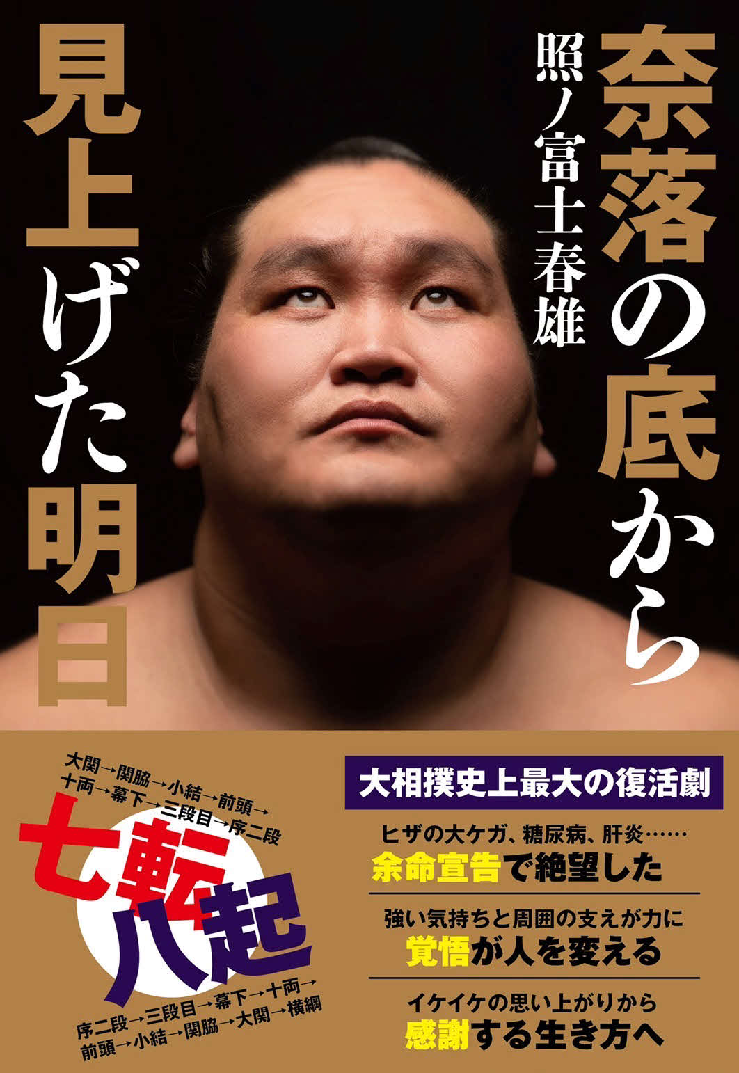 照ノ富士の著書「奈落の底から見上げた明日」
