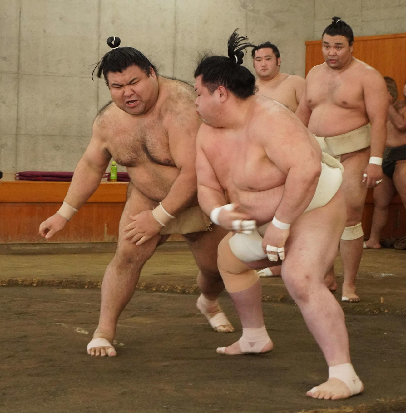 両国国技館内の相撲教習所で行われた合同稽古で阿武咲と相撲を取る高安（左）（代表撮影）