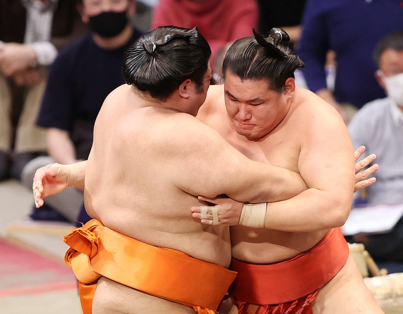 志摩ノ海（左）を攻める豊昇龍（撮影・鈴木正人）