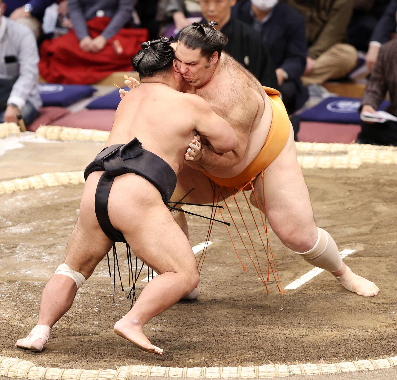 松鳳山（左）を押し出しで破る魁聖（撮影・鈴木正人）