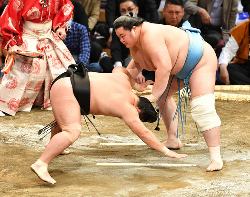 琴ノ若は照強（左）をはたき込みで破る（撮影・岩下翔太）