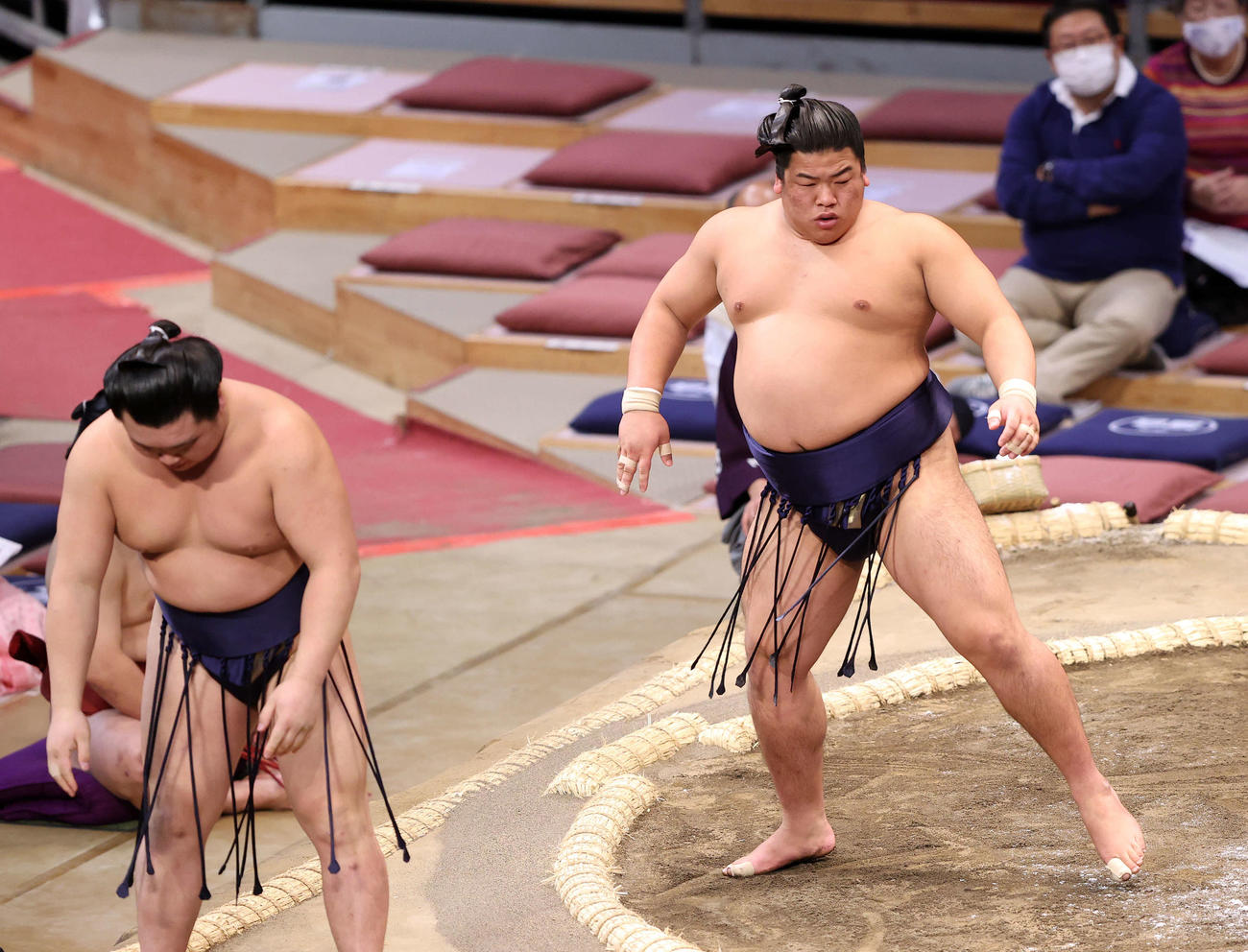 朝乃若（左）を押し出しで破った平戸海（撮影・鈴木正人）