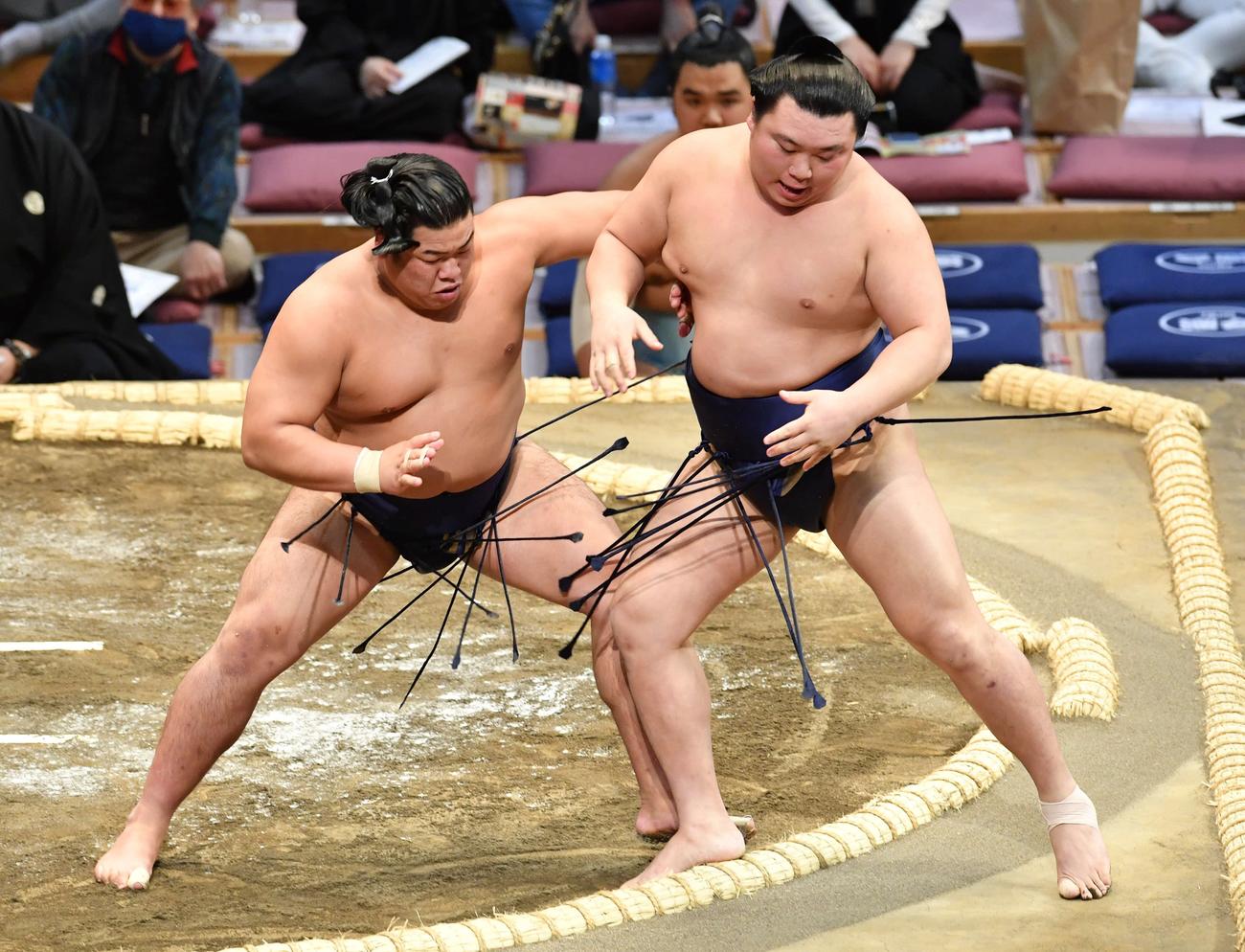 平戸海は朝乃若（右）を押し出しで破る（撮影・岩下翔太）