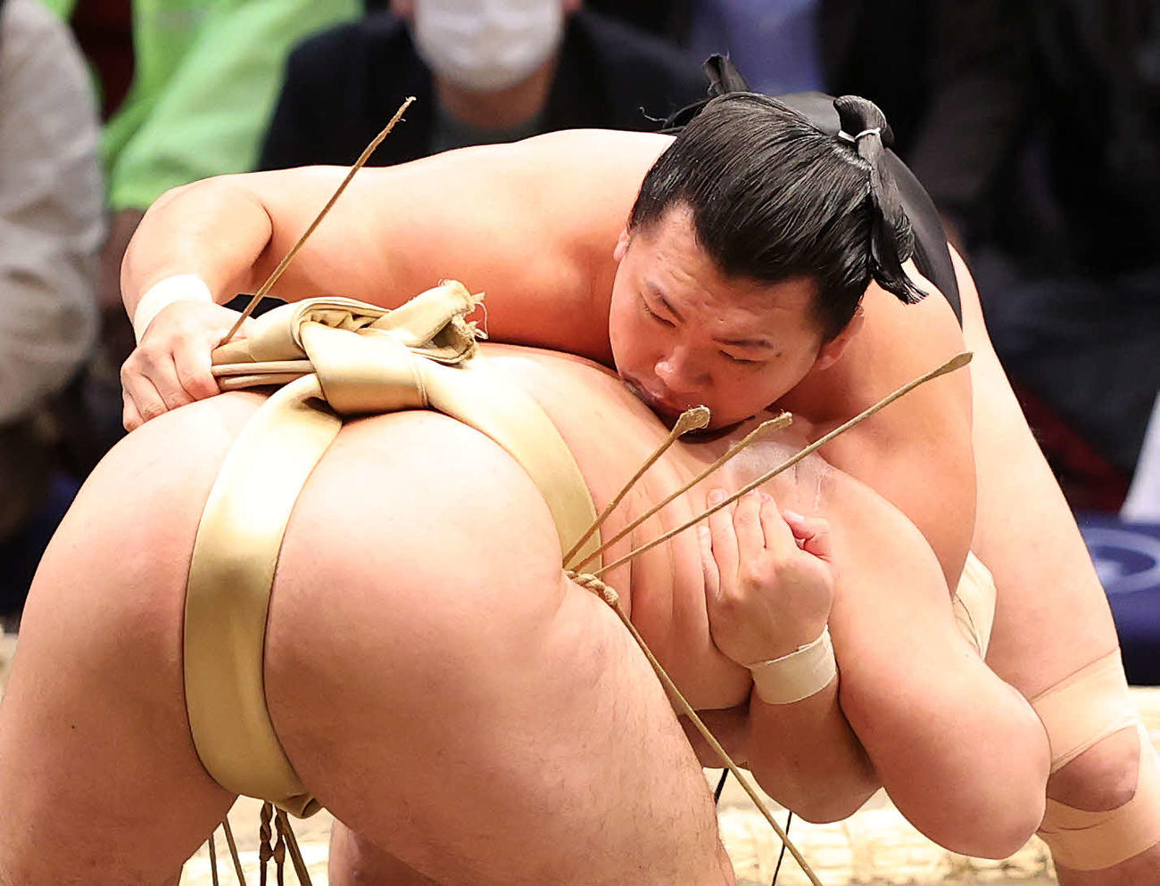 石浦（手前）を攻める照強（撮影・鈴木正人）