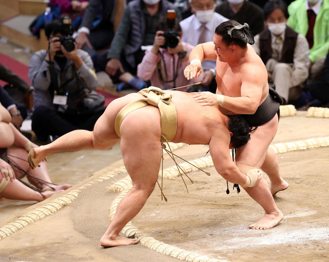 石浦（左）をつり出しで破る照強（撮影・鈴木正人）