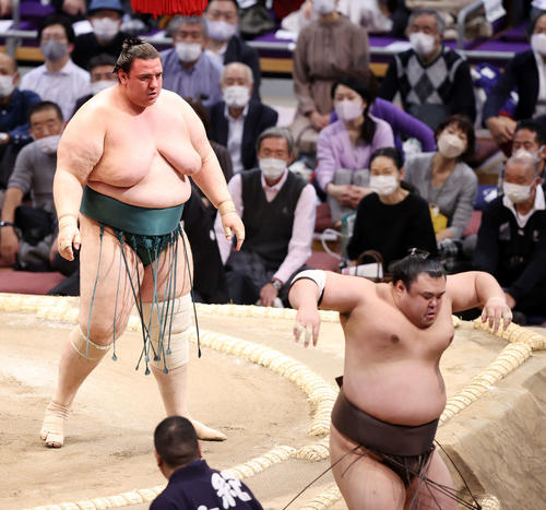 英乃海（右）を送り出しで破る碧山（撮影・鈴木正人）