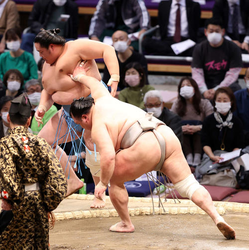琴ノ若（後方）を押し出しで破る北勝富士（撮影・鈴木正人）