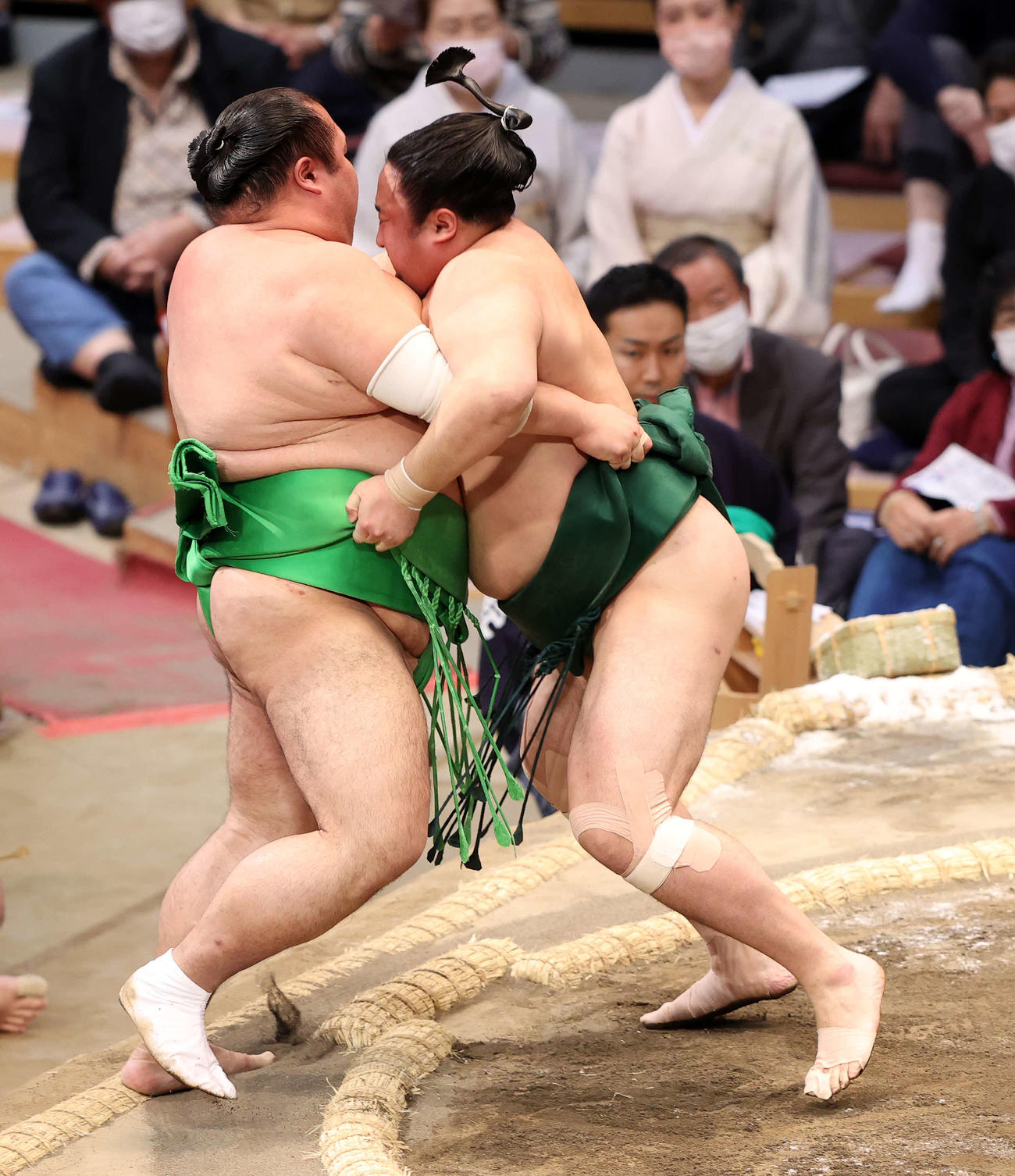 千代丸（左）を寄り切りで破る佐田の海（撮影・鈴木正人）