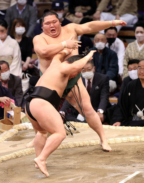 千代大龍（後方）を押し出しで破る照強（撮影・鈴木正人）