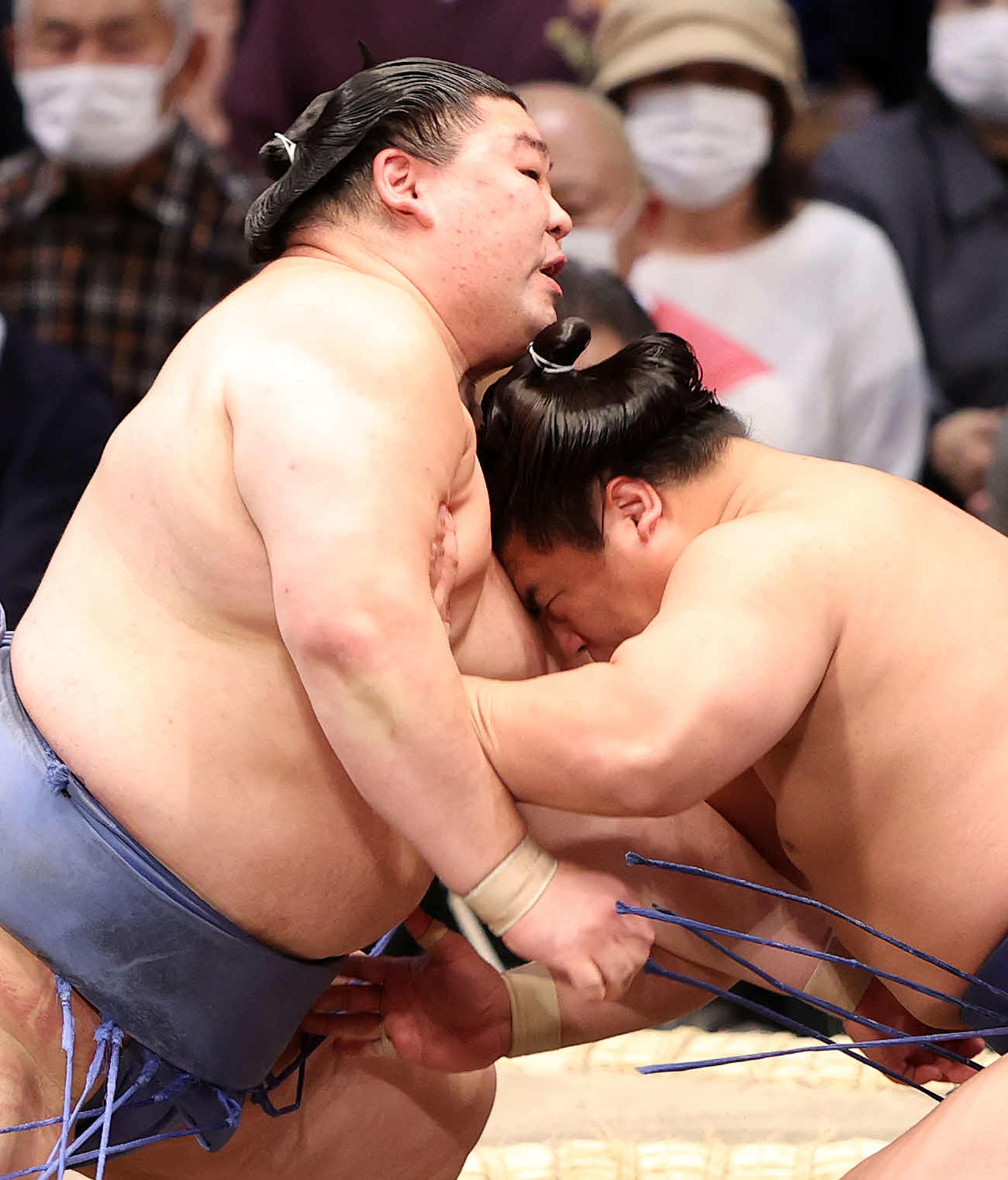 若隆景（右）と攻め合う正代（撮影・鈴木正人）