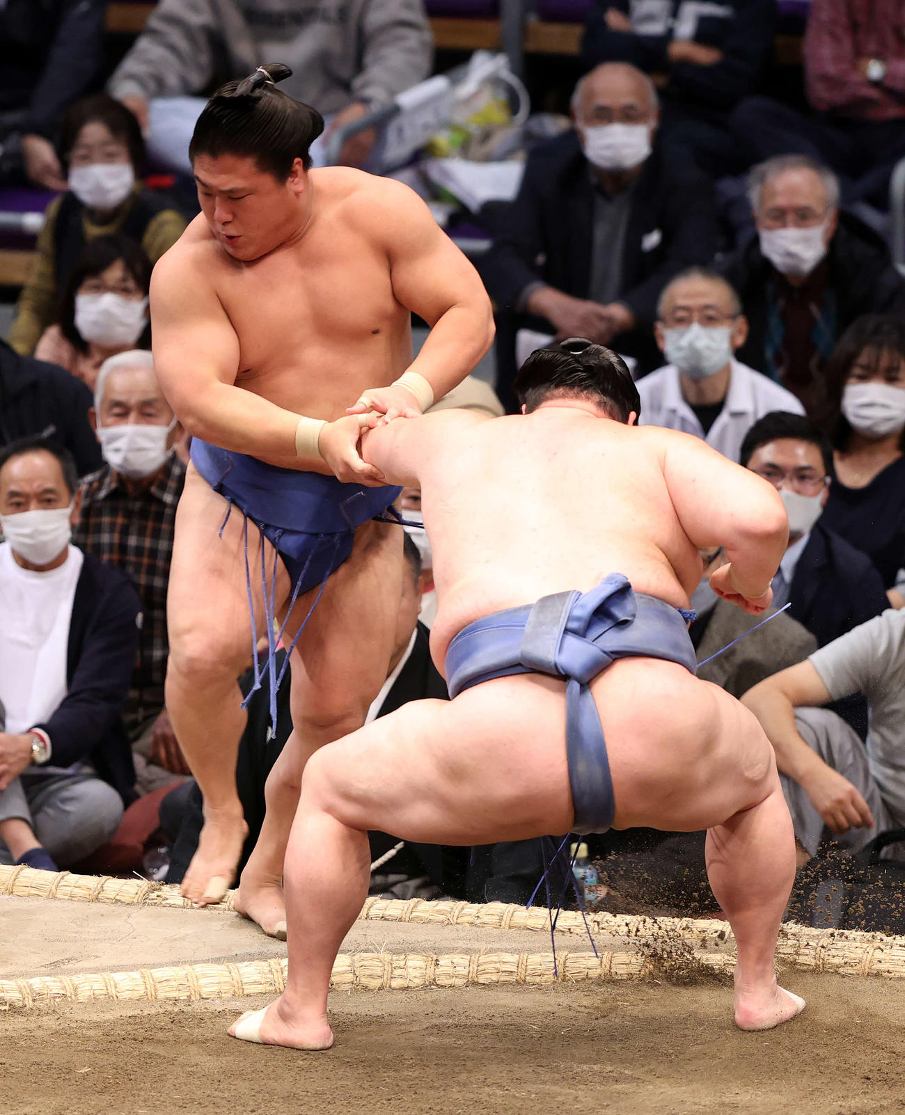 若隆景（左）を押し出しで破る正代（撮影・鈴木正人）