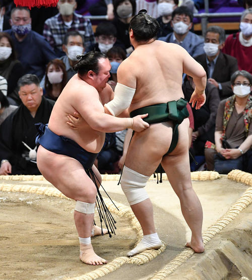 宝富士は隠岐の海（右）を寄り切りで破る（撮影・岩下翔太）