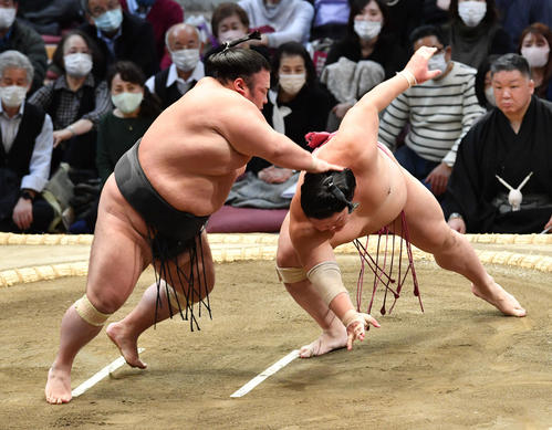 貴景勝は大栄翔（右）を突き落としで破る（撮影・岩下翔太）