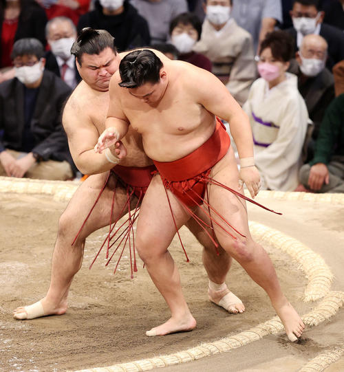 豊昇龍（右）を寄り切りで破る高安（撮影・鈴木正人）
