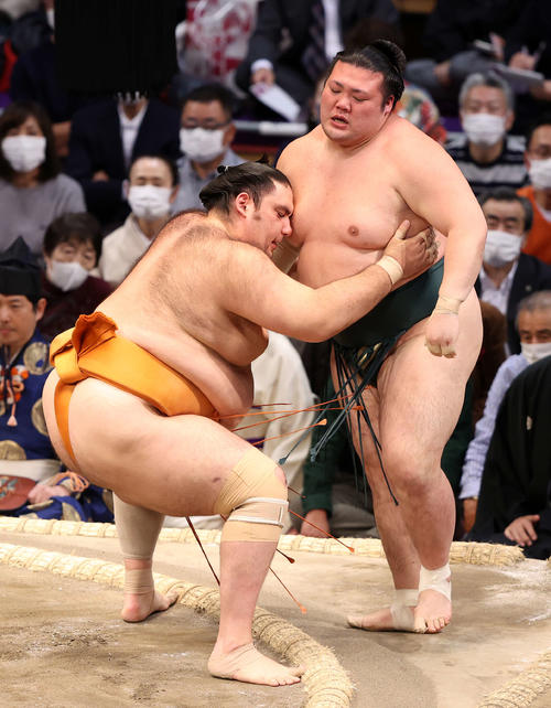 豊山（右）を寄り切りで破る魁聖（撮影・鈴木正人）