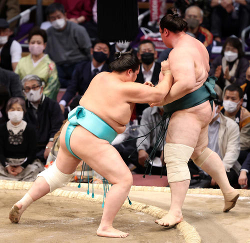 碧山（右）を押し出しで破る琴ノ若（撮影・鈴木正人）