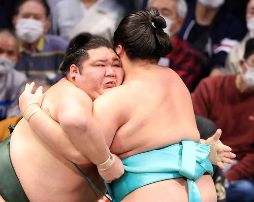 琴ノ若（右）を攻める千代大龍（撮影・鈴木正人）