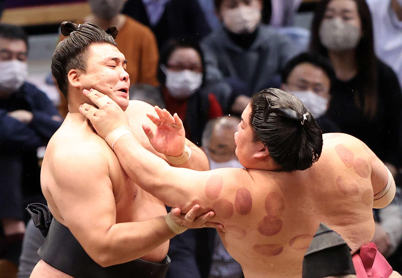 大栄翔（右）の攻めを耐える霧馬山（撮影・鈴木正人）