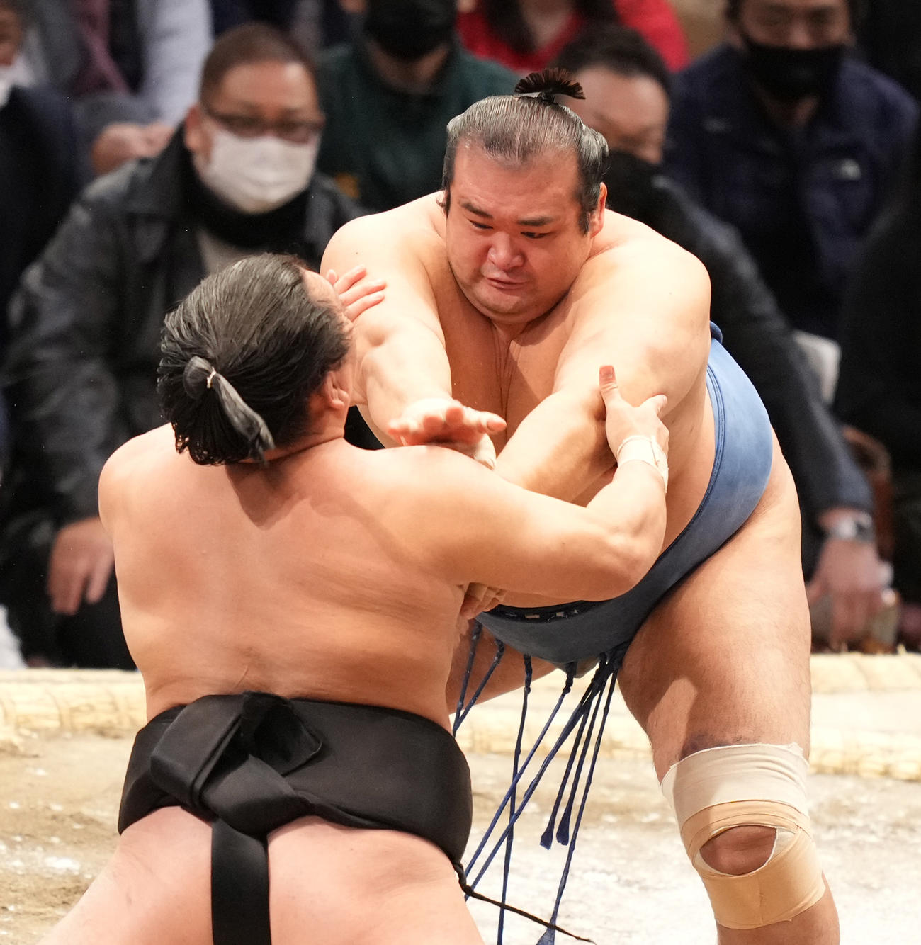 照強（左）を土俵際へ攻め込む千代の国（撮影・小沢裕）