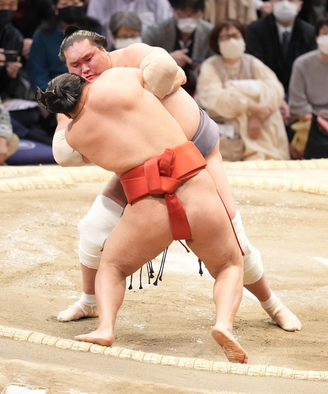 照ノ富士は豊昇龍（手前）をきめ出しで破る（撮影・小沢裕）