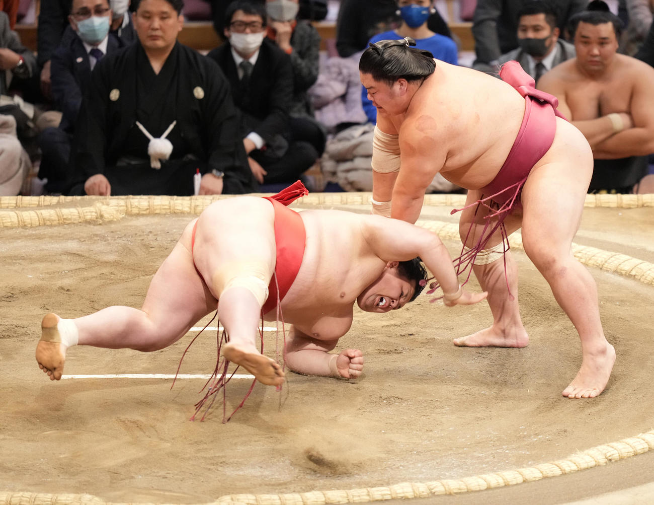 大栄翔（右）ははたき込みで阿武咲を破る（撮影・小沢裕）