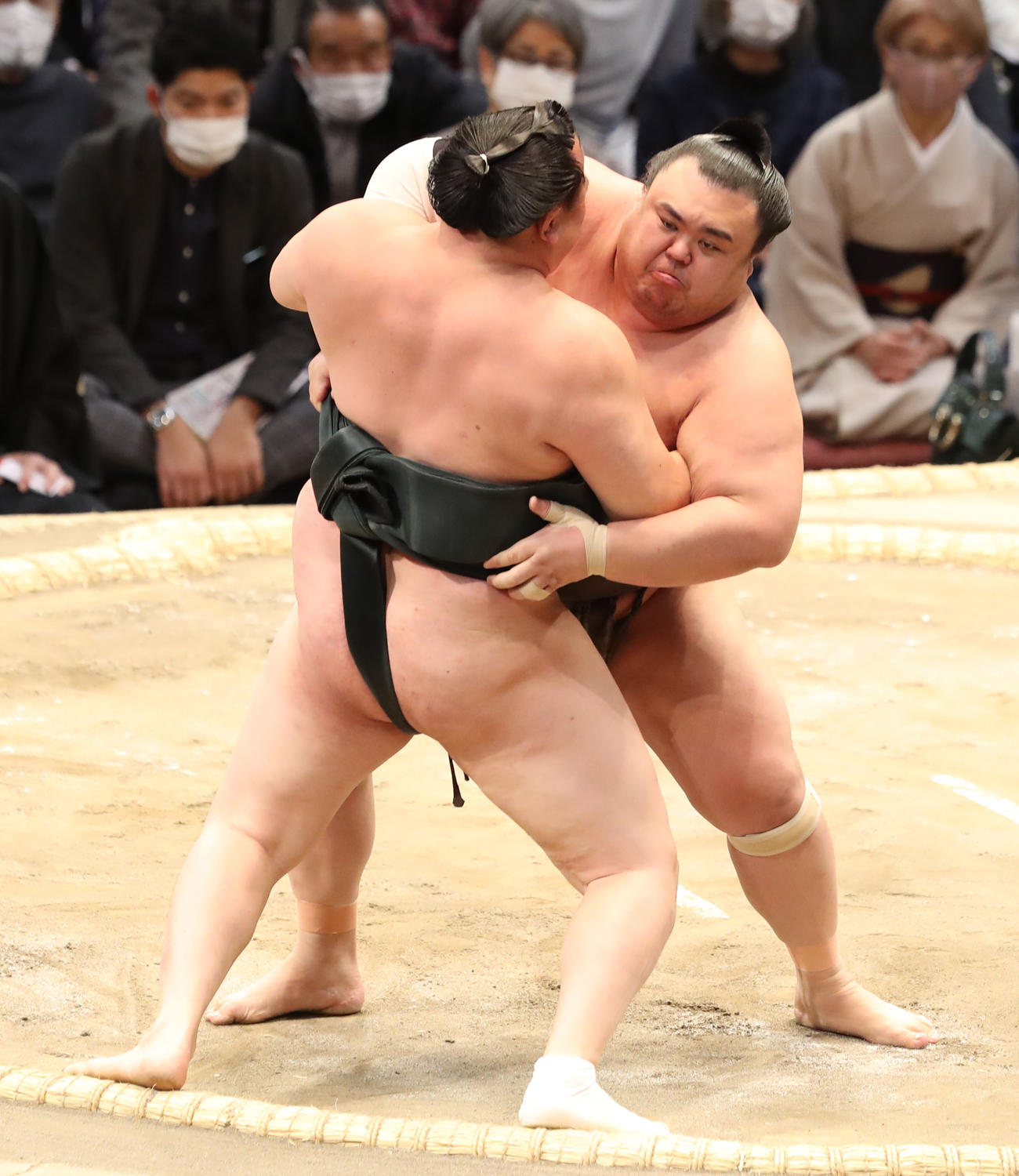 千代翔馬（左）を寄り切りで破る英乃海（撮影・屋方直哉）