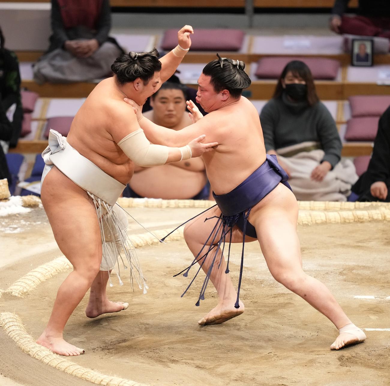 朝乃若（右）は旭大星を押し出しで破る（撮影・小沢裕）
