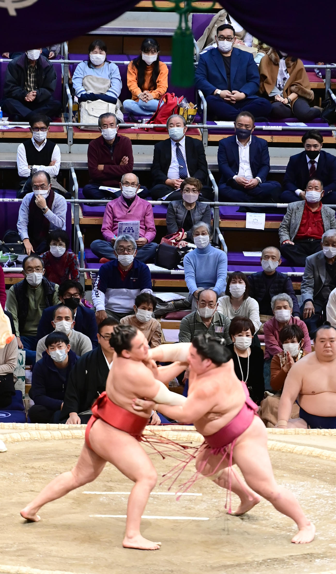 豊昇龍（左）と大栄翔の取組を見守る元横綱朝青龍関（上段右）（撮影・小沢裕）