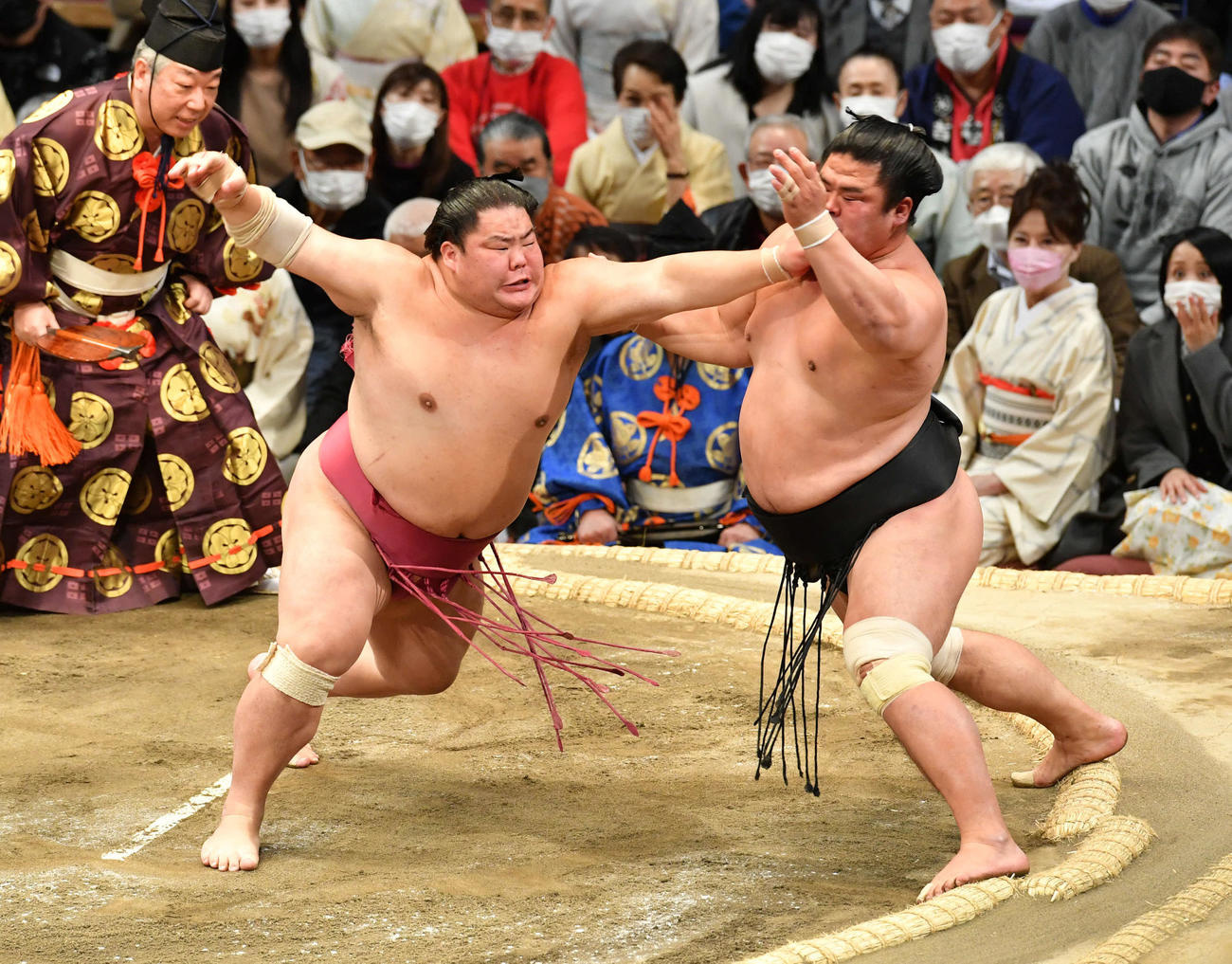 妙義龍（右）を攻める大栄翔（撮影・岩下翔太）