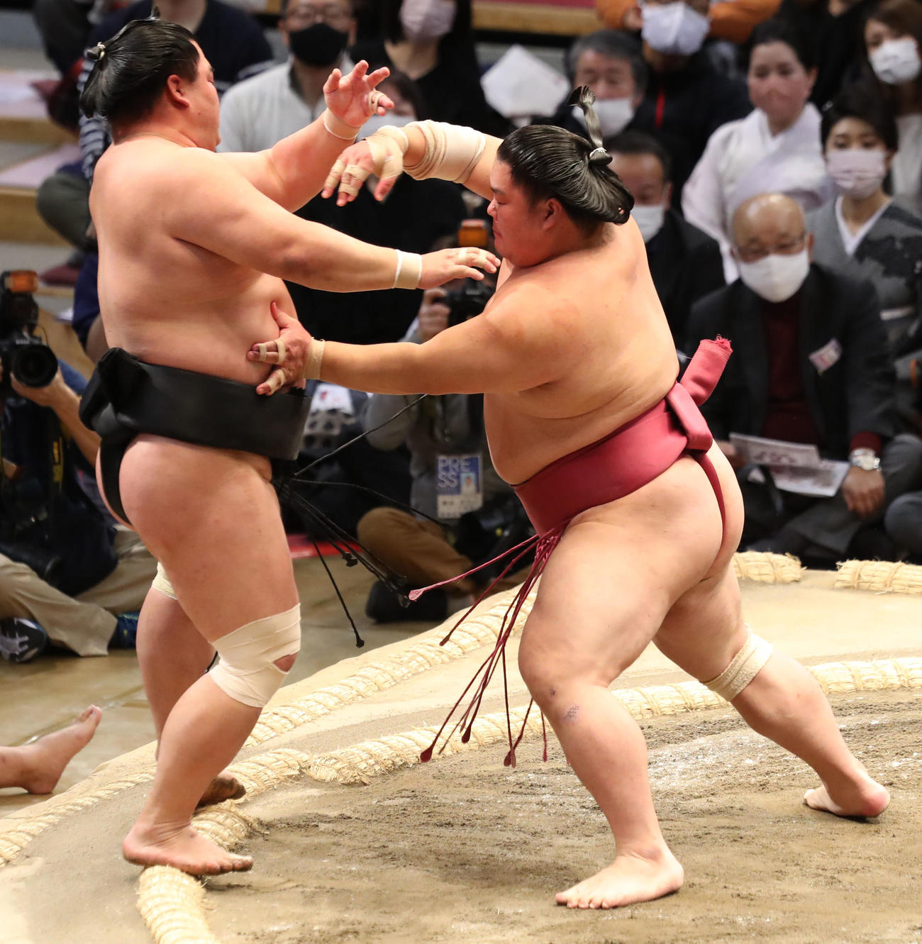 妙義龍（左）を突き出しで破る大栄翔（撮影・屋方直哉）