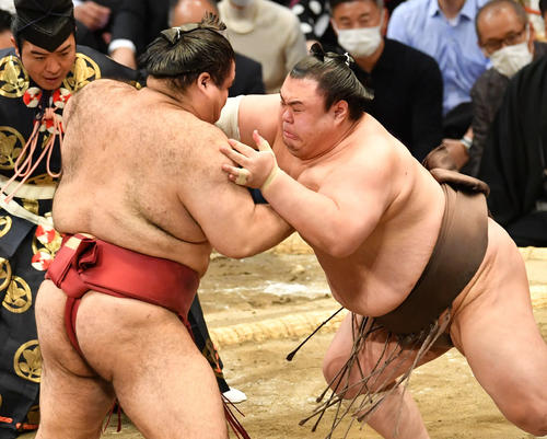高安（左）を攻める英乃海（撮影・岩下翔太）