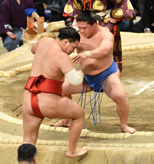 若隆景は豊昇龍（左）を押し出しで破る（撮影・岩下翔太）