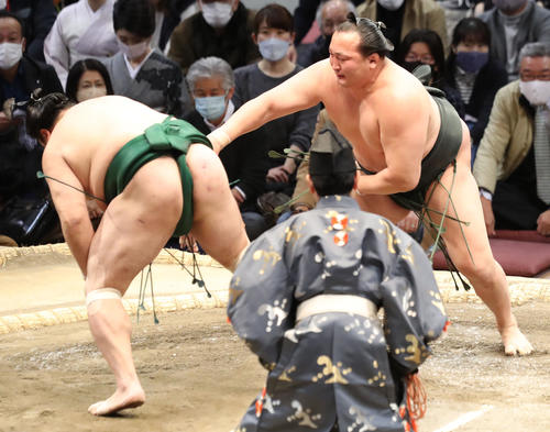 佐田の海（左）を叩き込みで破る千代翔馬（撮影・屋方直哉）
