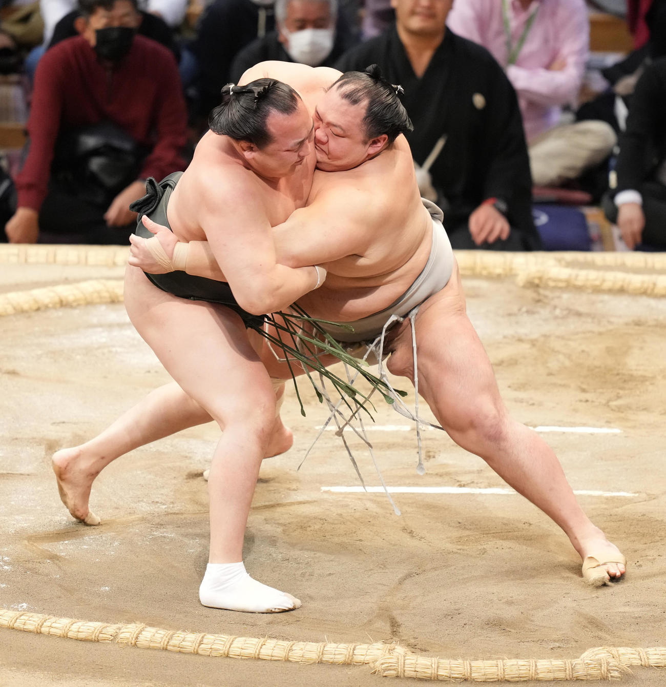 北勝富士（右）は寄り切りで千代翔馬を破る（撮影・小沢裕）