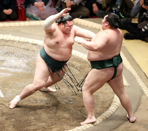 千代大龍（右）を突き出しで破る豊山（撮影・鈴木正人）