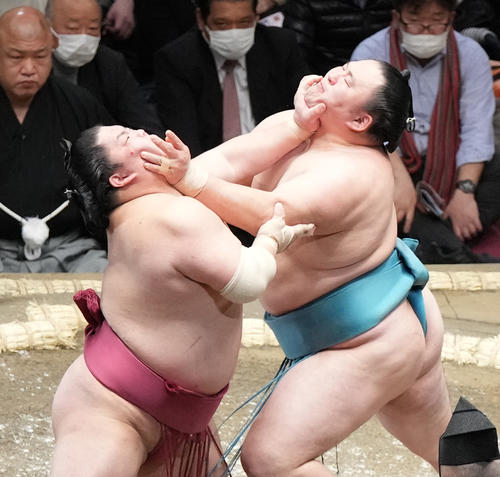立ち合いで互いにのど輪で攻める大栄翔(左)と玉鷲(撮影・小沢裕)