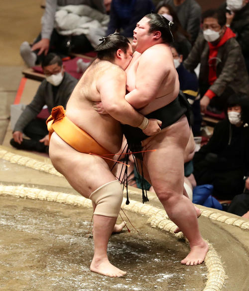 魁聖に寄り切りで敗れた剣翔(撮影・丹羽敏通)