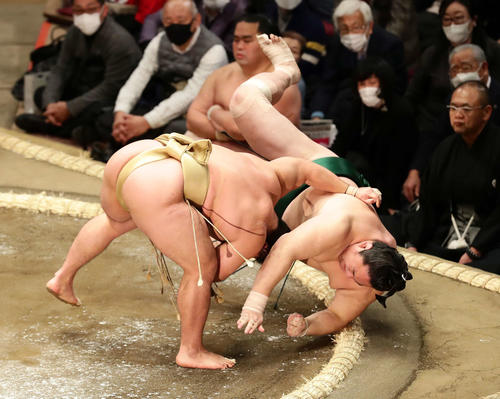 石浦に下手投げで敗れた佐田の海(撮影・丹羽敏通)