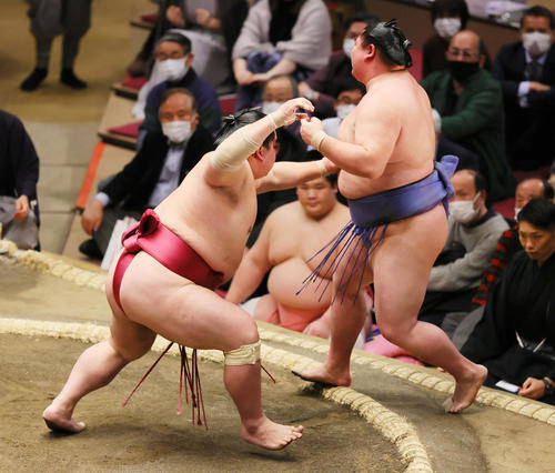 正代（右）を突き出しで破る大栄翔（撮影・野上伸悟）