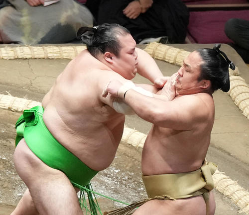 千代丸（左）は石浦を押し出しで破る（撮影・小沢裕）