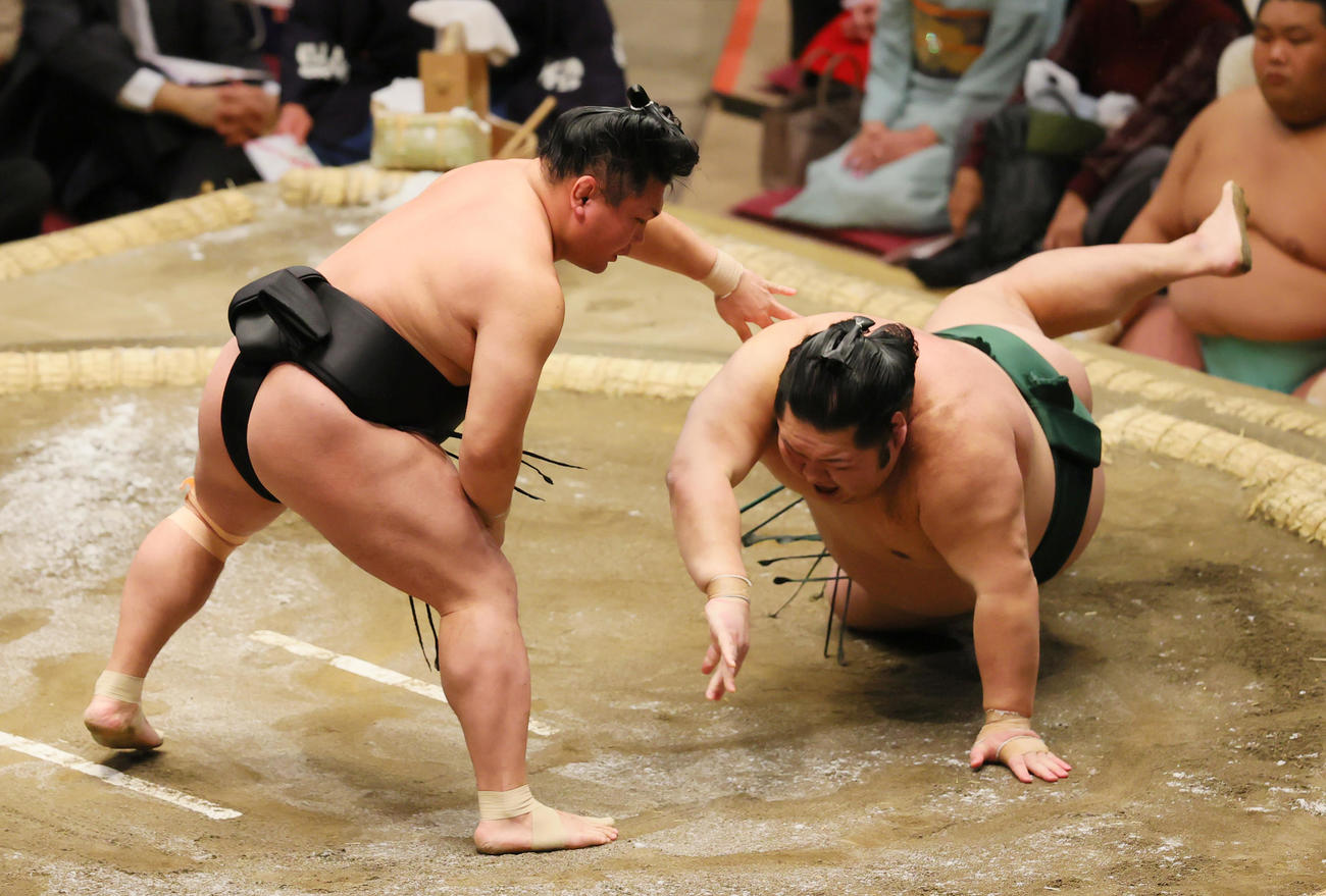 突き落としで千代大龍（右）を破る照強（撮影・野上伸悟）
