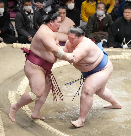逸ノ城（右）は大栄翔を押し出しで破る（撮影・小沢裕）