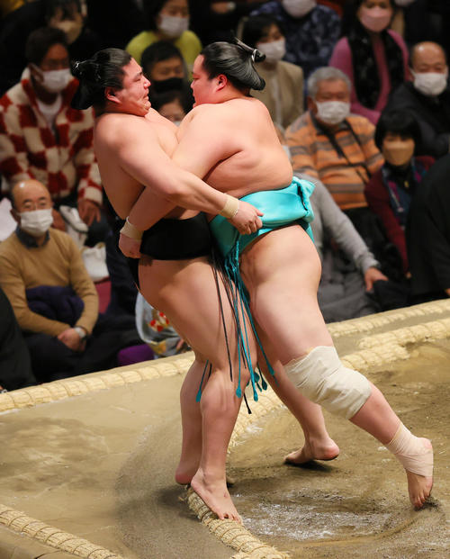 若元春（左）を寄り倒しで破る琴ノ若（撮影・野上伸悟）