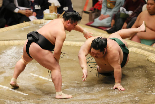 突き落としで千代大龍（右）を破る照強（撮影・野上伸悟）