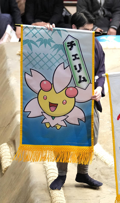 照強と千代大龍の一番に懸けられたサクラポケモン　チェリム（撮影・小沢裕）