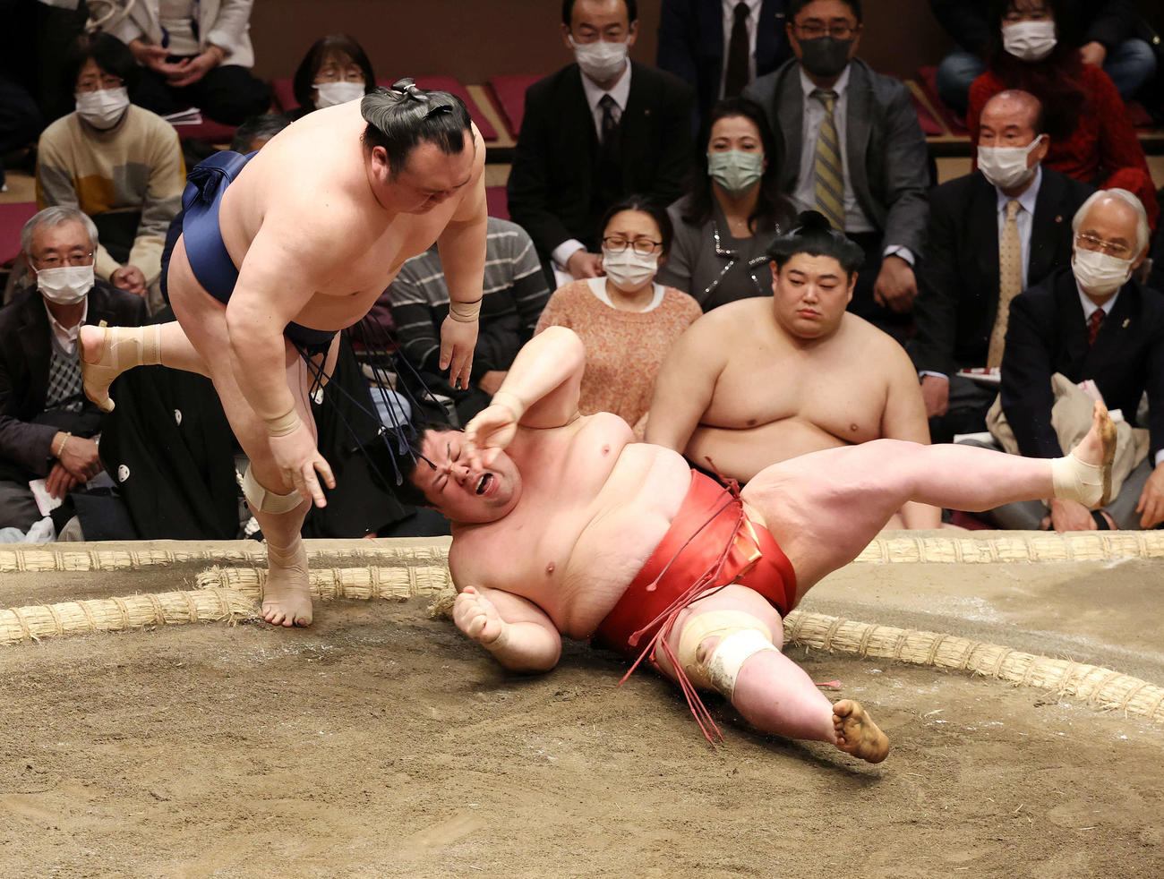 阿武咲（右）を突き落としで破る宝富士（撮影・鈴木正人）