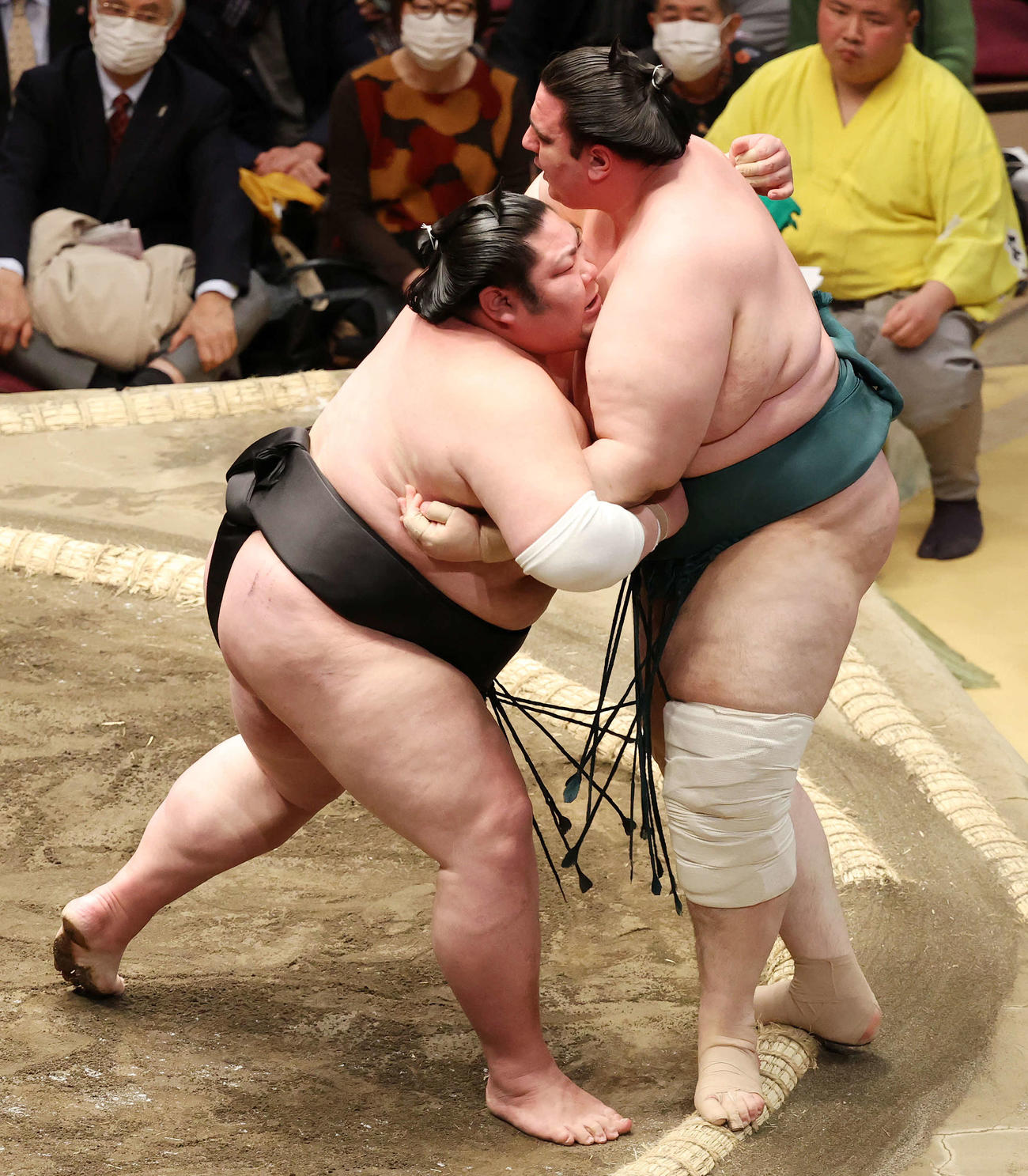 碧山（右）を寄り切りで破る剣翔（撮影・鈴木正人）