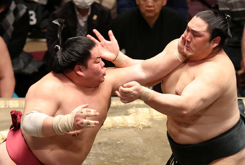 隠岐の海（右）を攻める大栄翔（撮影・鈴木正人）